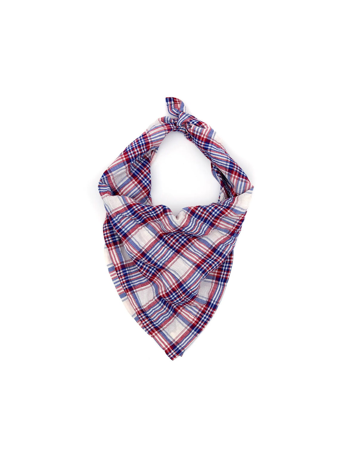 Bandana Scarf