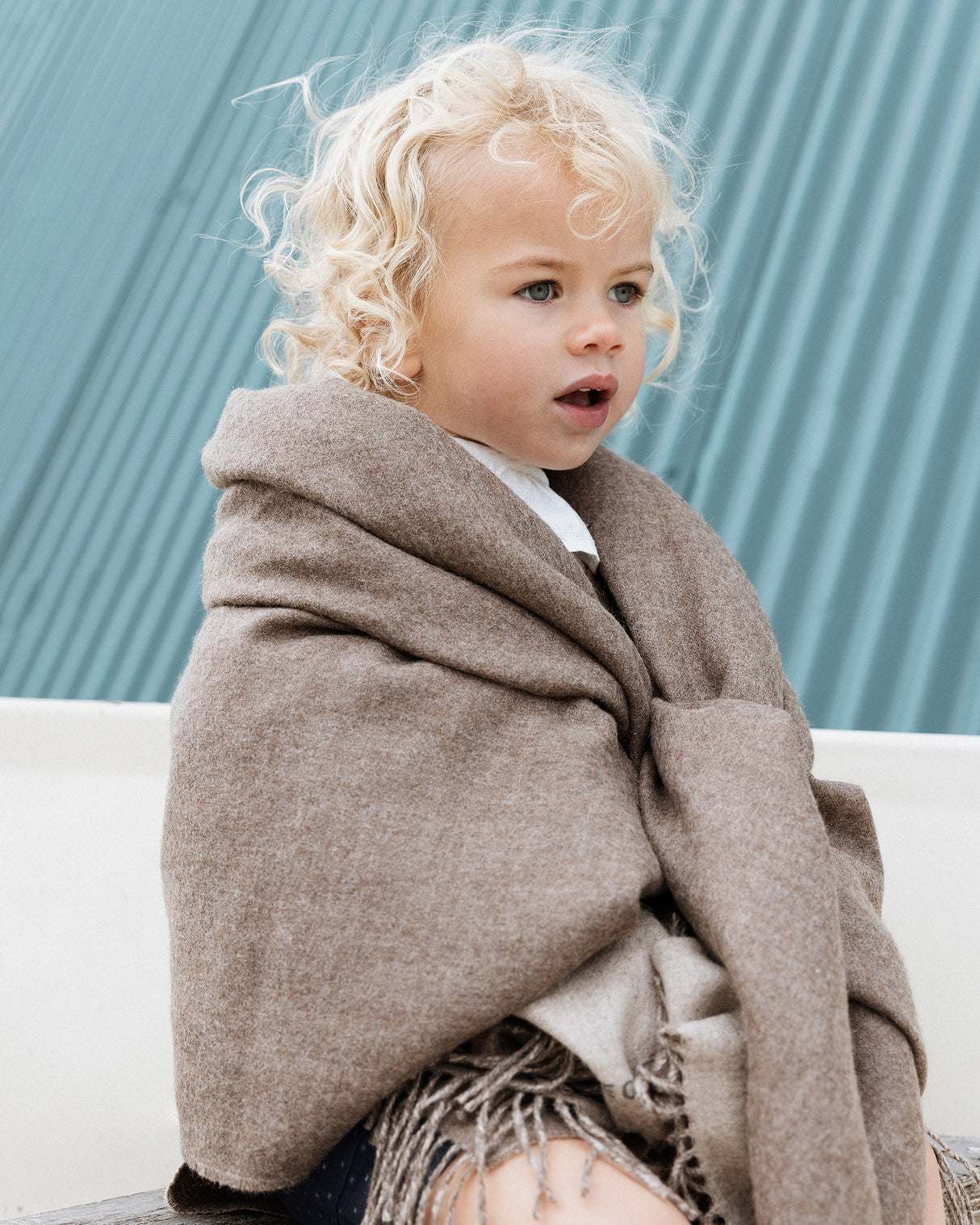 Alpaca Luxury Blanket