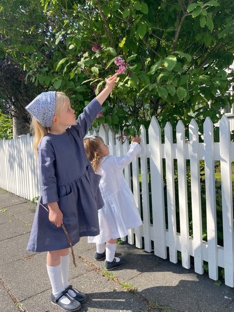 Pocket Dress Linen